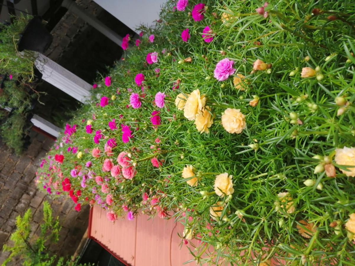 Kanthi Holiday Rest Homestay Mirissa Kültér fotó
